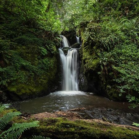 Taylor Creek Lodge Голд-Бич Экстерьер фото