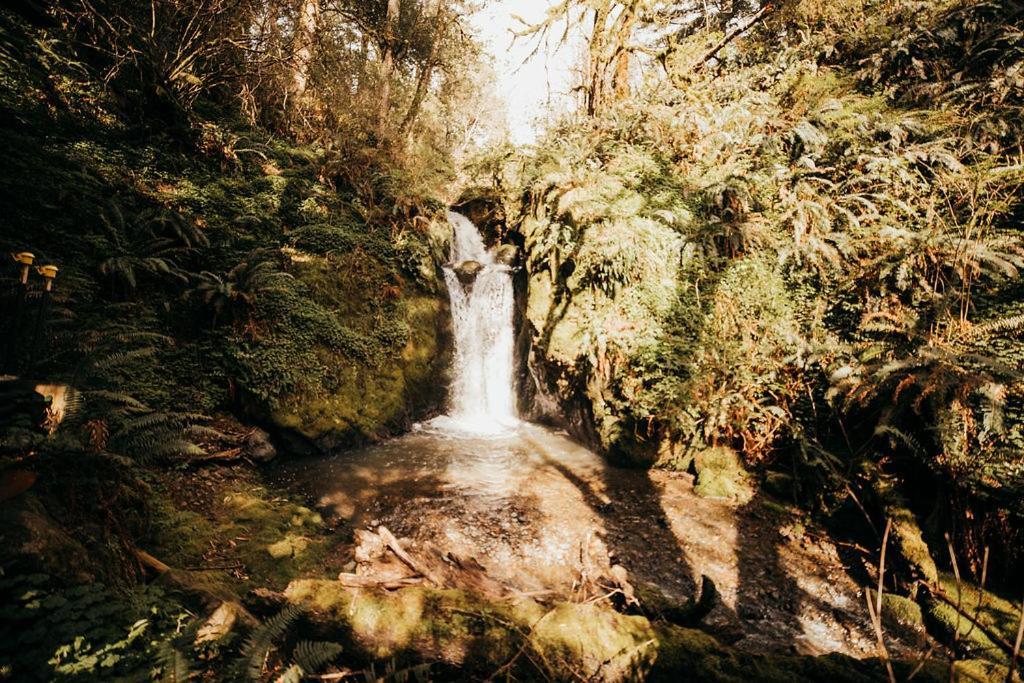Taylor Creek Lodge Голд-Бич Экстерьер фото